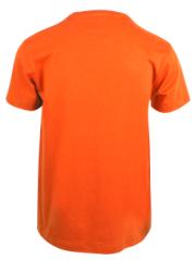 Alt_2